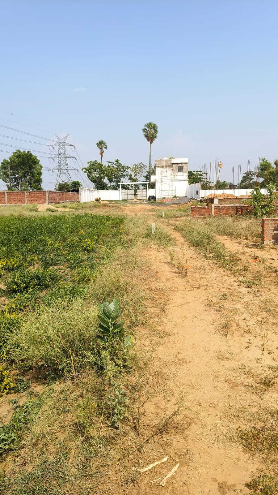 Bihta IIT Plot View 4