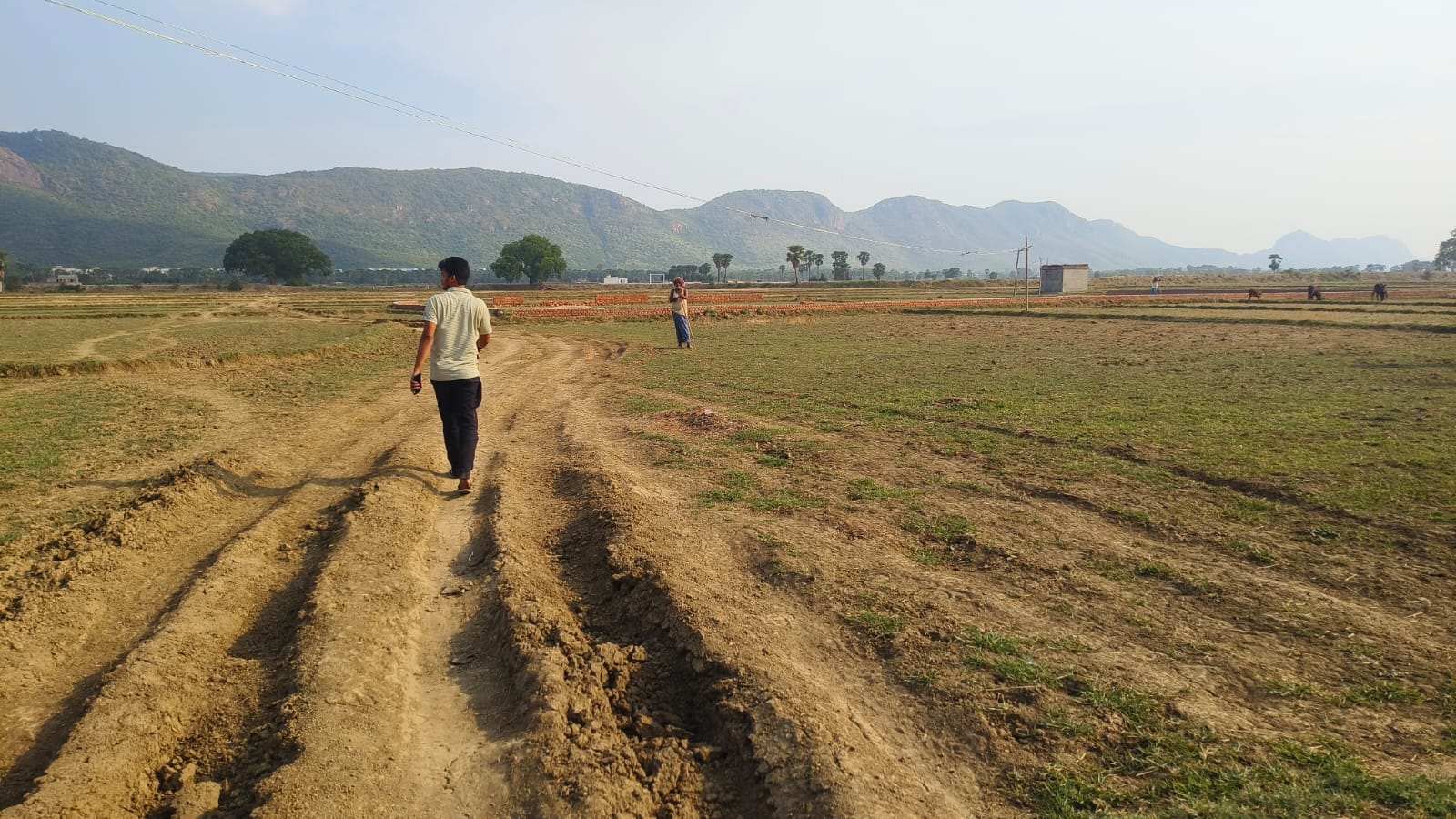 Rajgir Property View 2