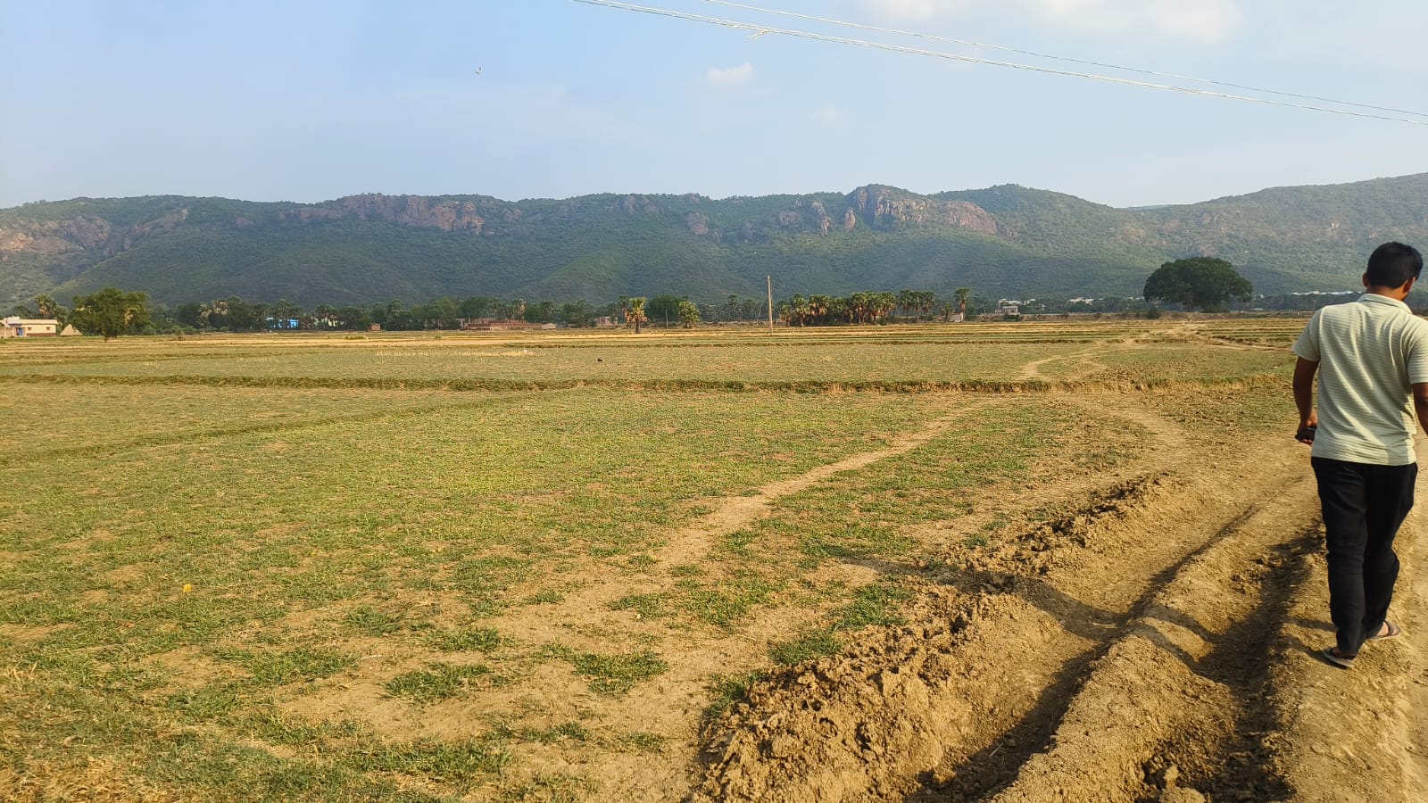 Rajgir Property View 3