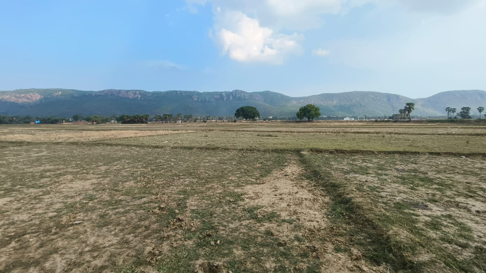 Rajgir Property View 4