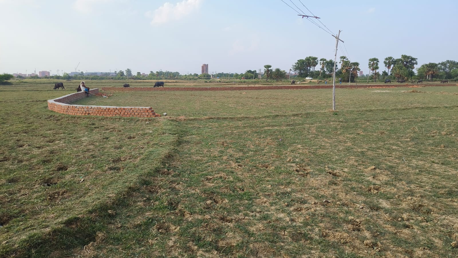 Rajgir Property View 5